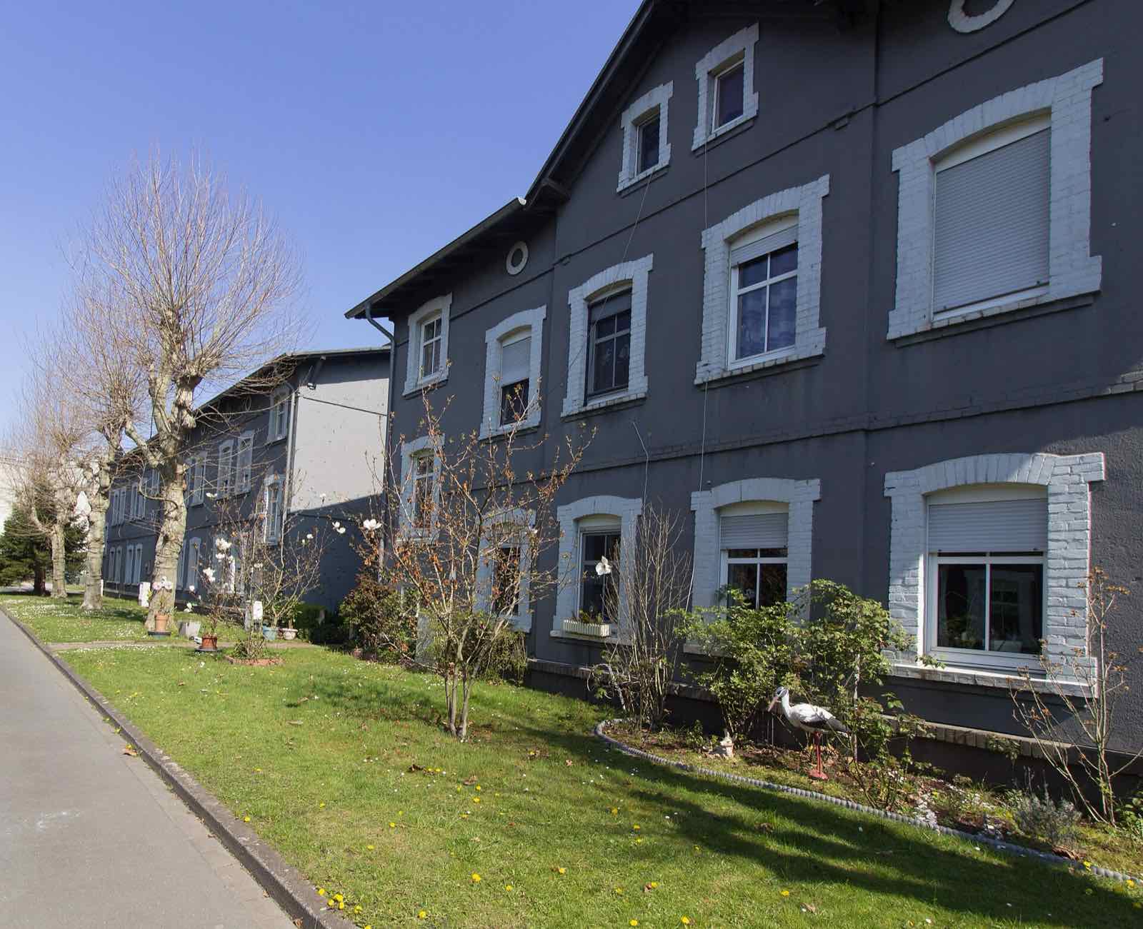 Zweigeschossige Reihenhäuser mit hellen Fensterfassungen und Rasen im Frühling